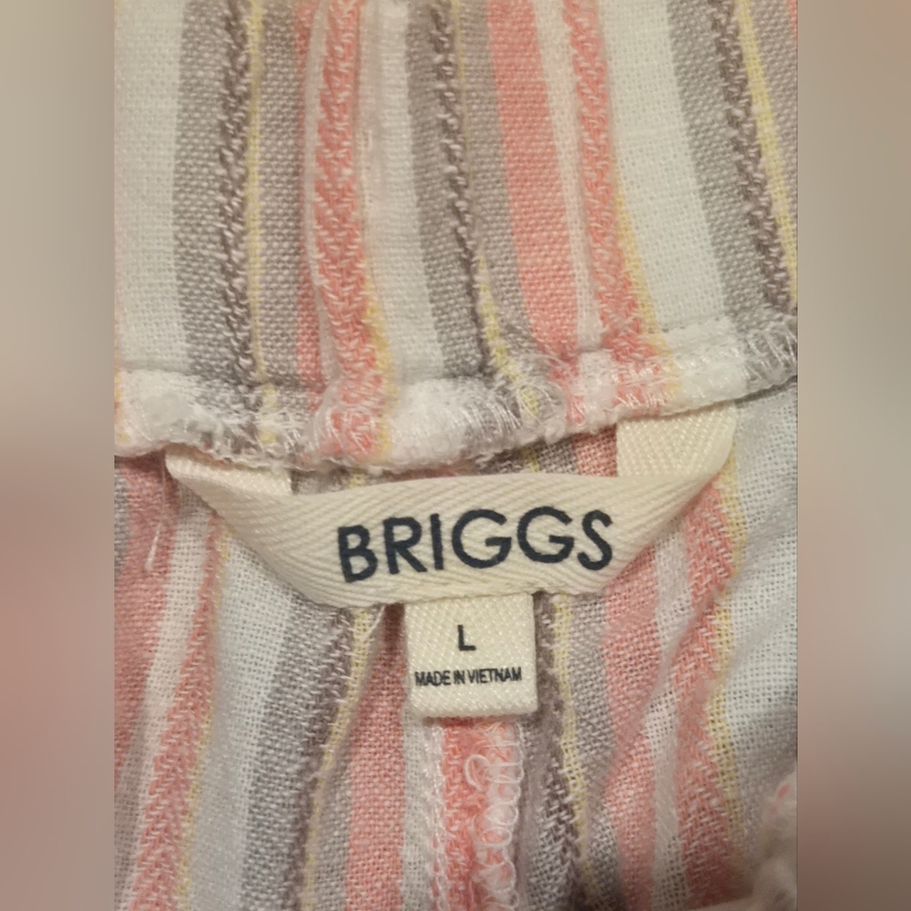 Briggs Striped Women's Shorts - Picture 5 of 8